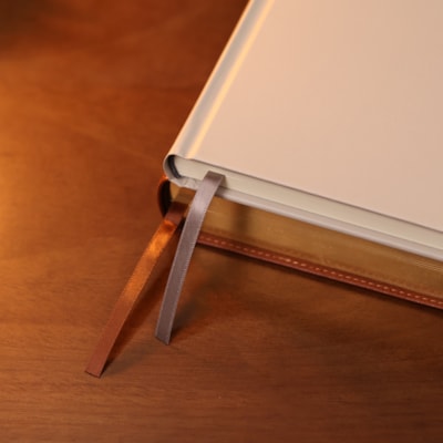 image_06f42182-32db-497c-a502-7797a89540d0