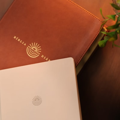 image_fe812619-5752-4037-baa6-fa3cbe58bbe7