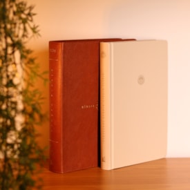 Segunda imagem do produto Bíblia Diária Marrom | NVI | Leitura Perfeita | Couro Soft
