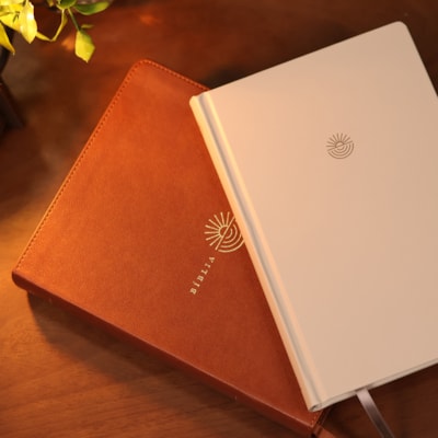 image_4ff37e48-7c83-4dba-8d11-f1d643d222db