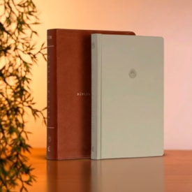 Segunda imagem do produto Bíblia Diária Marrom | NVI | Leitura Perfeita | Couro Soft