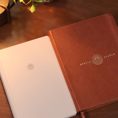 image_13f17683-9cbd-477b-8b23-c2dca16d1aef