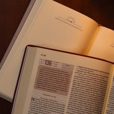 image_7b92a6a0-0eaa-4079-bb86-101f49c41966