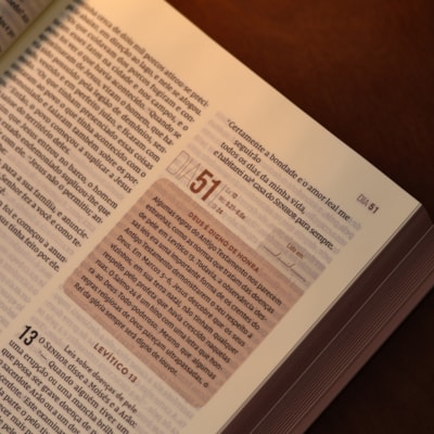 image_2237ea0f-3cb3-495c-8f38-0c89418fb2c5