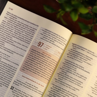 image_f89bdb68-72dd-4c0f-b044-41fa7d79f81d