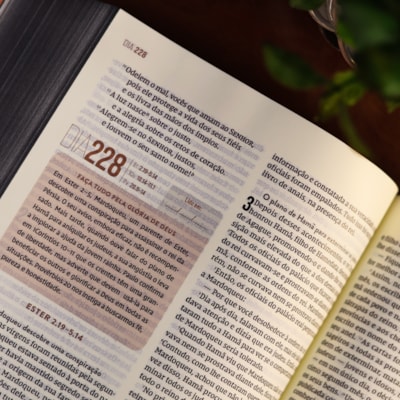 image_130669ce-41c2-4983-8442-7d62859af68e