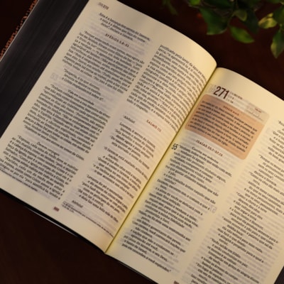 image_a64f7c8d-cdf8-4d93-bff7-d41077462f3f