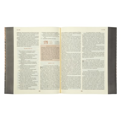 image_5e43a6af-42d6-41f0-b323-8d6be3c95ee5