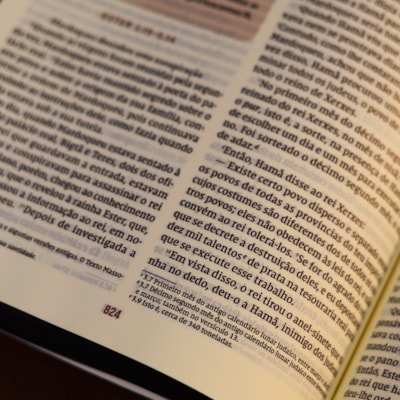 image_acb3e6b4-7328-41c5-a012-9ad879231bb6