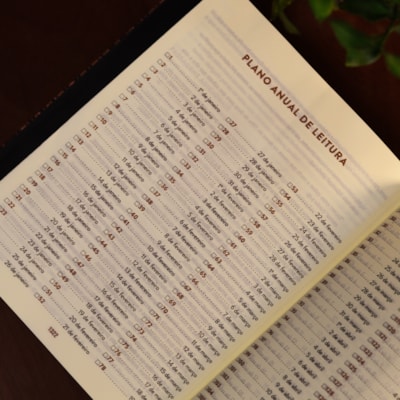 image_135807e9-3d2b-4f51-a25f-7ec00952b5b2