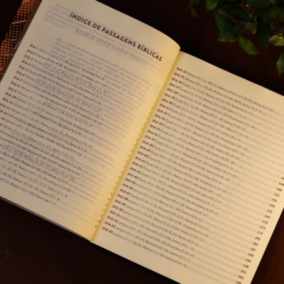 image_39bee9ca-ff72-41fb-8284-33ea655ca114