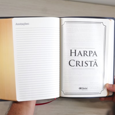 image_c7aee1f3-a5c5-49a5-b3ca-8ba25ef95e18