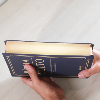 image_53f873e5-0f7c-4cce-8a42-a8042b605352