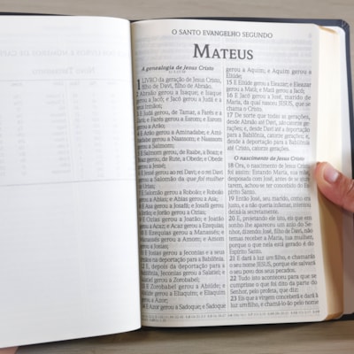 image_08e7f933-1069-4cae-a92c-a3fca72ccb91