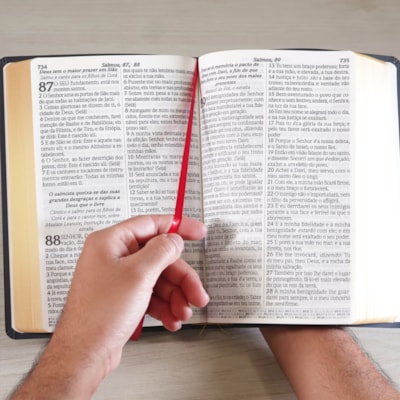 image_156f8c94-08f9-4acb-b43e-b0e883abb2bf