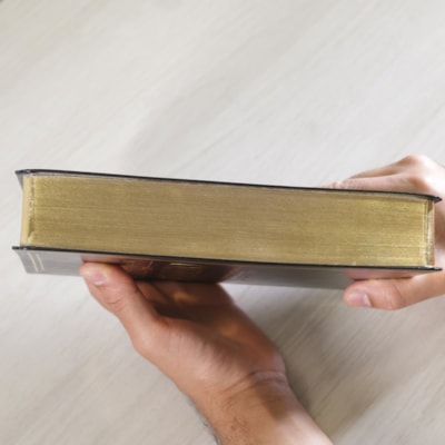 image_c5ce85f3-7b52-45f5-a322-591c61b779b1