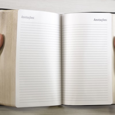 image_d42244ab-c743-4dc6-99f2-753f59682bd7