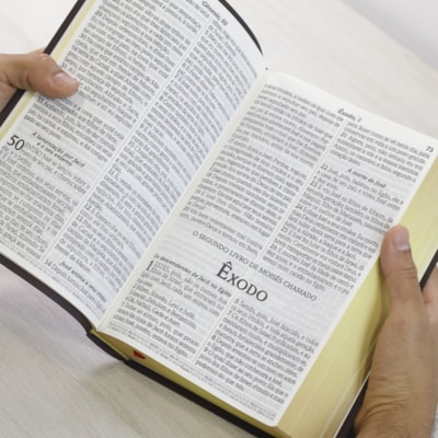 image_37a98042-2097-4612-9cc1-d19bd737e9c9