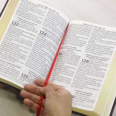 image_8b1625c5-9379-45e0-a885-27d72a4a471a