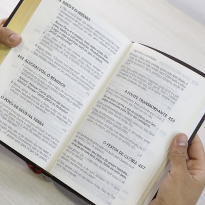 image_8689d8cd-b3f3-49a3-9739-f472af972226