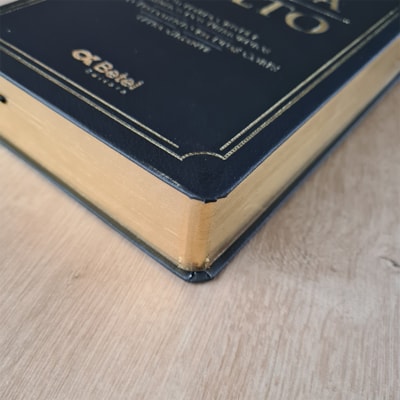 image_44ede9b4-94b0-4d6f-b43f-8cfc1e3c3202