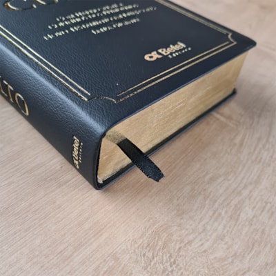 image_352f9fef-be69-494a-9c8e-b596da2f0265