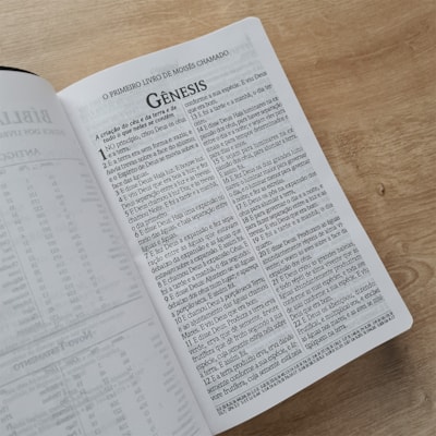 image_9524b1f9-796a-48b0-afc6-94e54f16a762