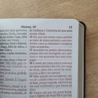 image_efc0bfb9-5f6a-470d-a284-a5406ebbdfca