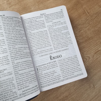 image_17c1f680-0c35-4023-b240-60c2475dab71