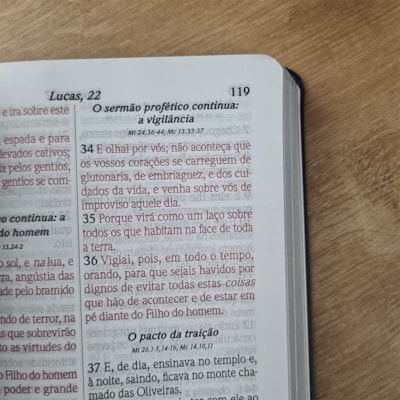 image_f8ca8d04-1e8d-4c11-86b0-af1377e72999