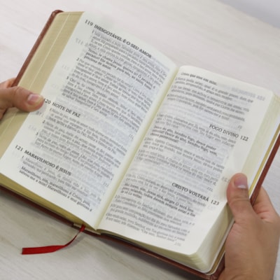 image_a6f0caa7-3d29-49cc-af71-45be15a234be