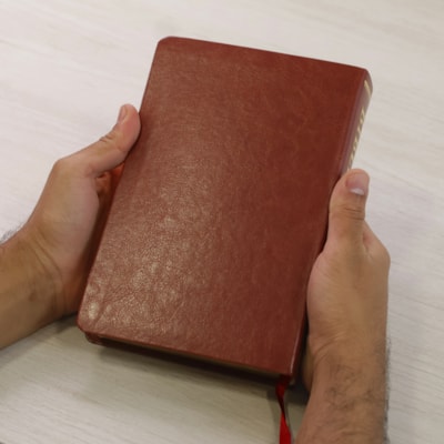 image_d37a042e-34cd-45ae-ab69-7838f02e4781