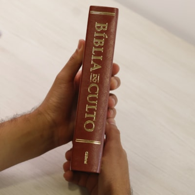 image_39f513ac-9931-4fed-88bc-b7d82c48b942