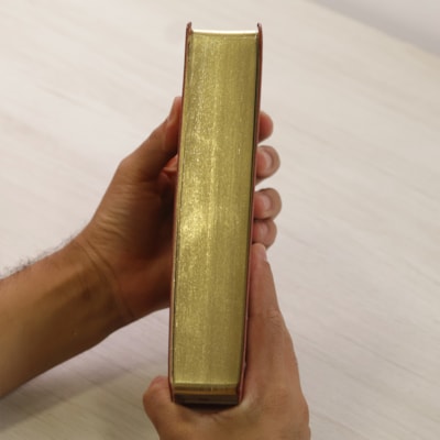 image_26734320-a558-4265-b89c-7ab5d9124fec