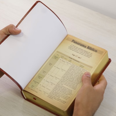 image_8aedbdbe-3254-4060-b1f8-31e391c2f142