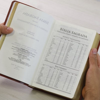 image_c8444b44-f482-47ce-9942-19a3c6076ab3