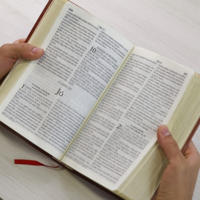 image_a00bf672-58b2-4ff0-b0a0-eb0618f8eb08