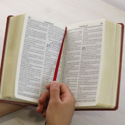 image_b06c1789-cdc4-43f7-9598-4b660cc619cc