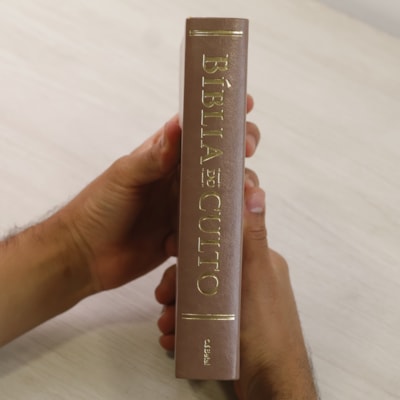 image_bd5b505b-7766-43c8-a421-cdc34d2297af