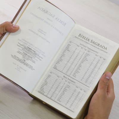 image_f4349e4e-d11a-4399-8e89-858c73e1ddd4