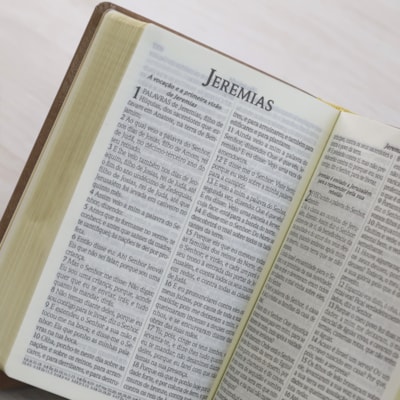 image_8e132169-08c6-496d-96ca-4bf6d5ef28e3