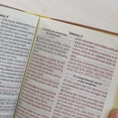 image_ac75a46a-426a-484f-8086-4c059e2afaf3