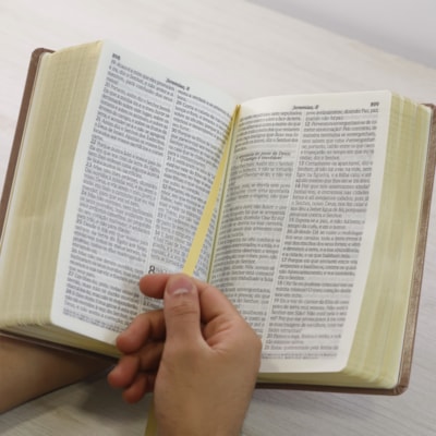 image_3e58cde8-2223-42bc-972b-33cde518edd0