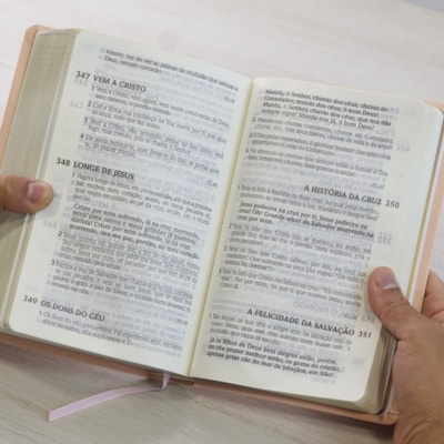 image_ec6314c2-8132-4f4e-8cb9-a6ba6050efd6