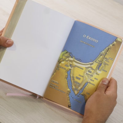 image_de5ac1bb-5f4a-4b10-ae4a-8ed4c7d8815d