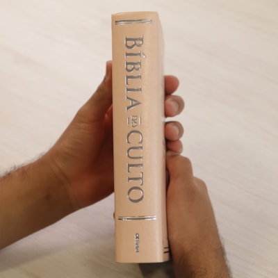 image_413b86d6-6a14-4e55-8d1e-d24265bfa3a2