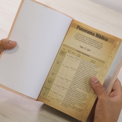 image_d8c123fe-7467-416c-b603-2c180c26d427