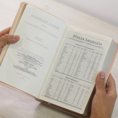 image_ae3a33c7-4dc6-4687-a52d-b3a195a47e37