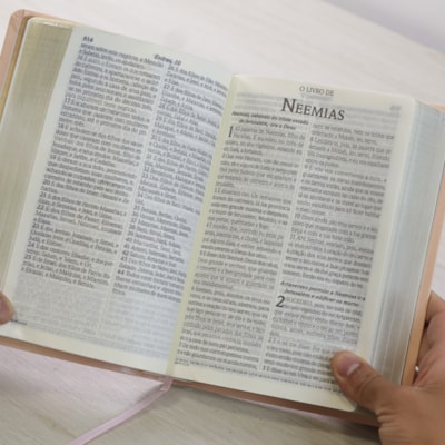 image_e180b0d3-a237-4d48-9a7b-294751a6f15d