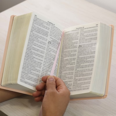 image_3c0370de-4daf-4b51-8b8b-314f803b9ecf